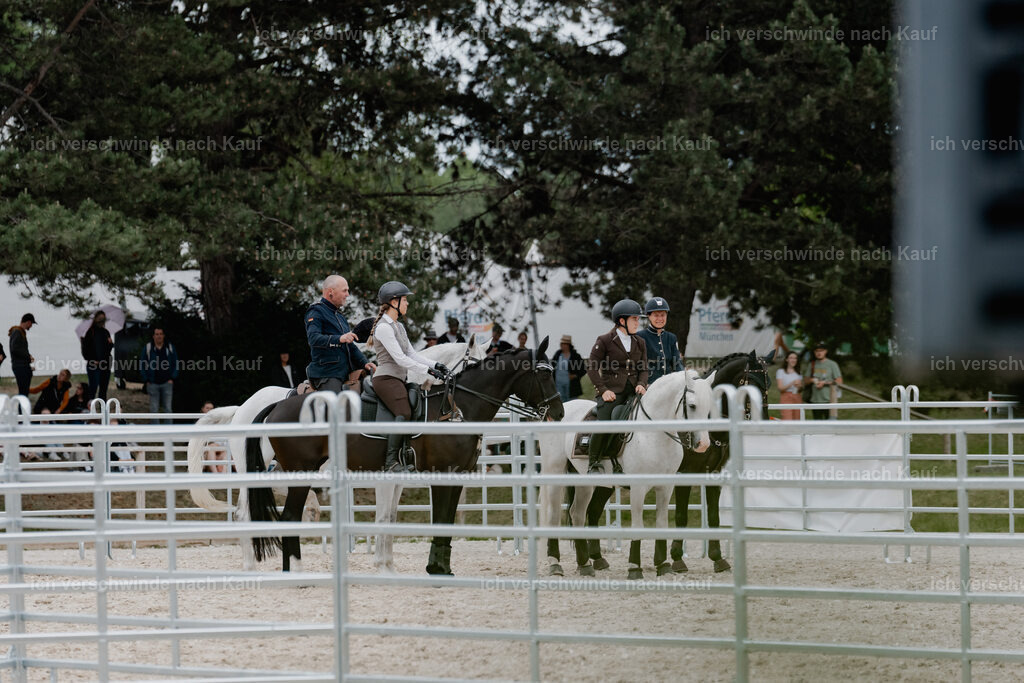 WE__Stoib_Rinder_PI2025_3201 | Pferd International München 2025