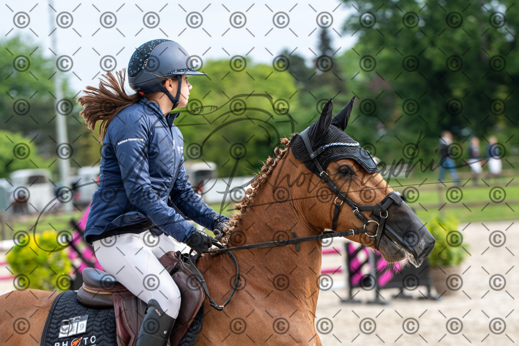 KPT_7955 | andre_photographic