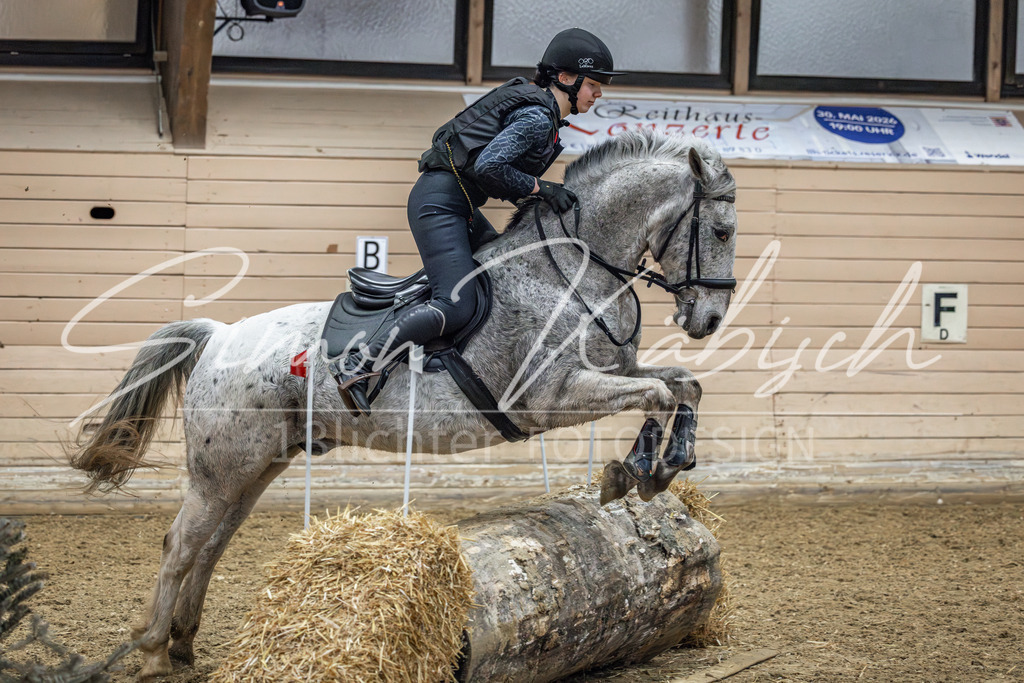 20260222-_3LI0966 | Tierfotografie Pferde, Hunde, Katzen, Haustiere.
Turnierfotografie Reitturniere, Reiten, Springreiten, Dressur in Hanau, dem Main-Kinzig-Kreis und dem Rhein-Main- Gebiet um Frankfurt