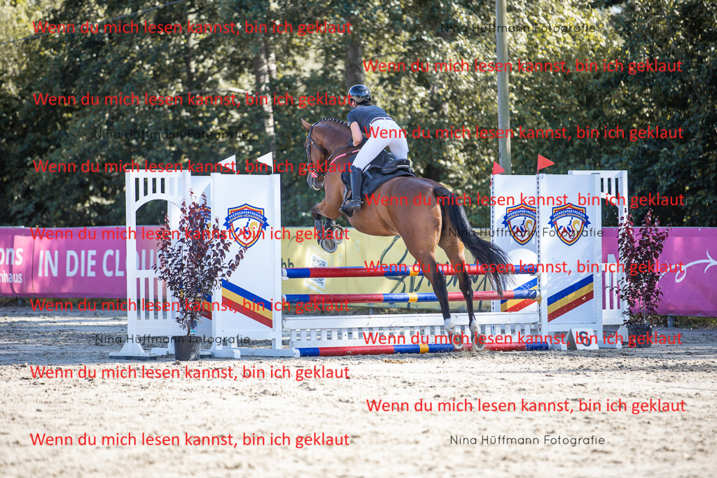 BK1A7338 | Turnierbilder Turnierfotos Nina Hüffmann Turnierfotografie Pferdefotografie Tierzeichnung Haustierzeichnung Pferdezeichnung Hundezeichnung Videograf  - Realisiert mit Pictrs.com