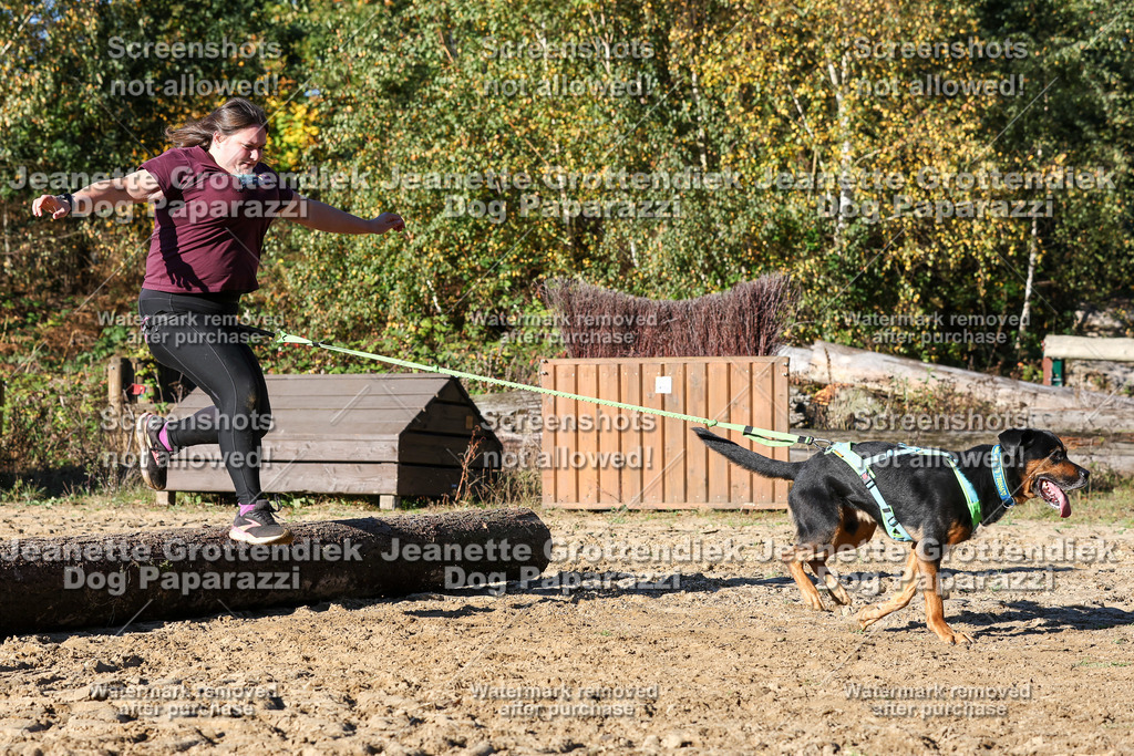 Dog Paparazzi - Strongdog 10-25-1900 | Dog Paparazzi Jeanette Grottendiek Fotografie & Videografie - Realisiert mit Pictrs.com