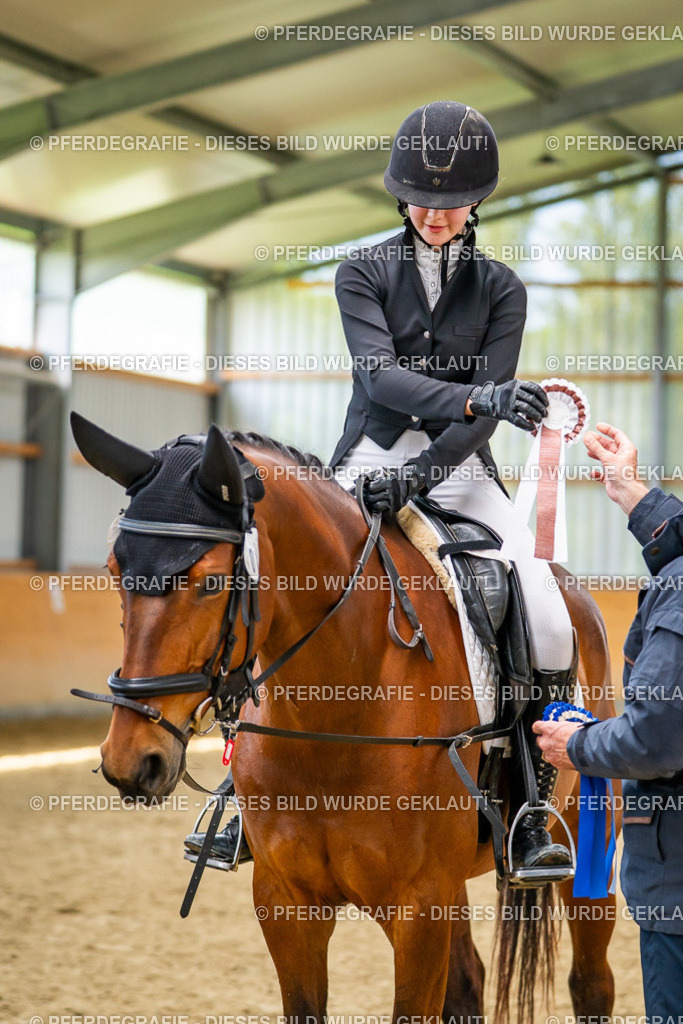 DSC03840 | Pferdegrafie