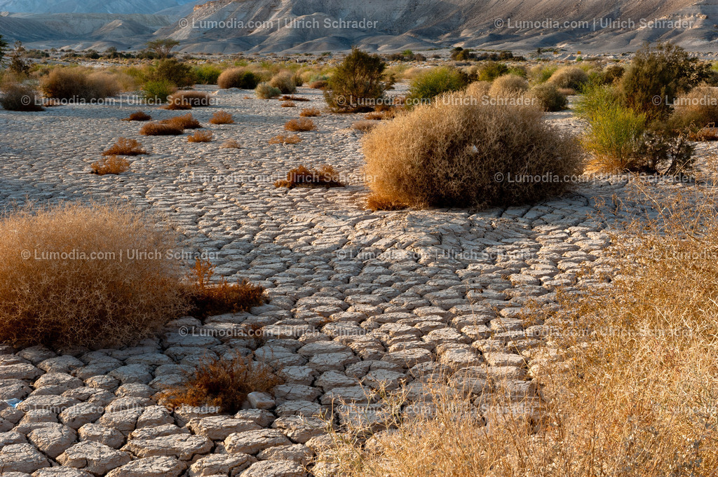 10972-10376 - Negev-Wüste _ Israel | max. Bildgröße A3 | 300dpi - Realisiert mit Pictrs.com