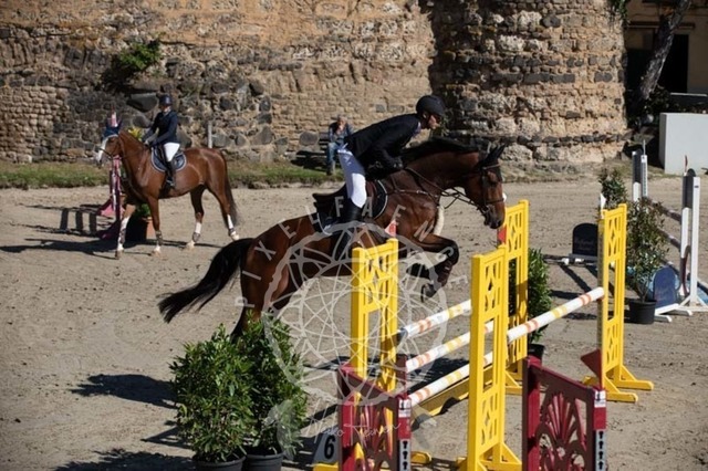 2B4A0413 | pixelfaenger - Realisiert mit Pictrs.com