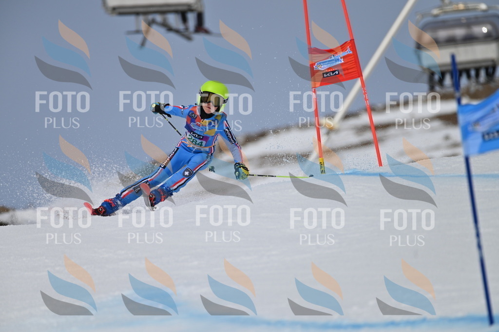 BGV_5645 | holidayphoto