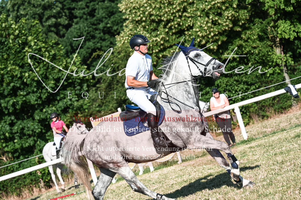 DSC_2809 | Pferde- und Turnierfotografie in Westsachsen. Pferdeportraits, Auftragszeichnungen und intuitive Kunst.