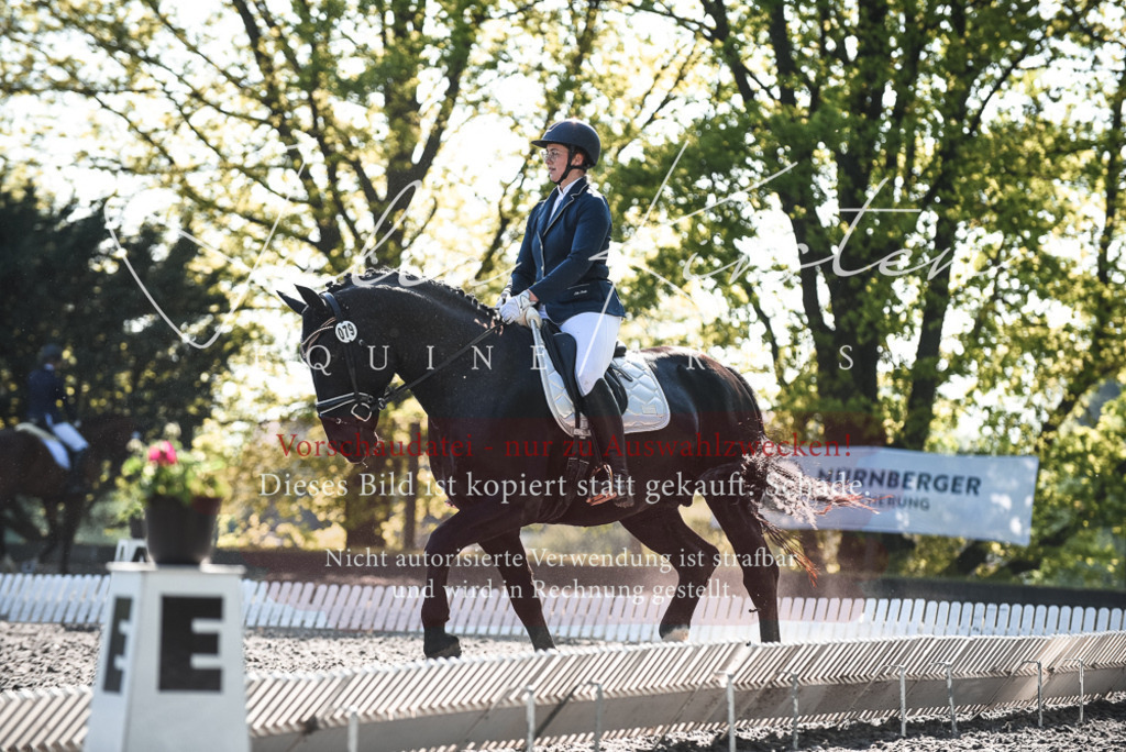 DSC_8454 | Pferde- und Turnierfotografie in Westsachsen. Pferdeportraits, Auftragszeichnungen und intuitive Kunst.