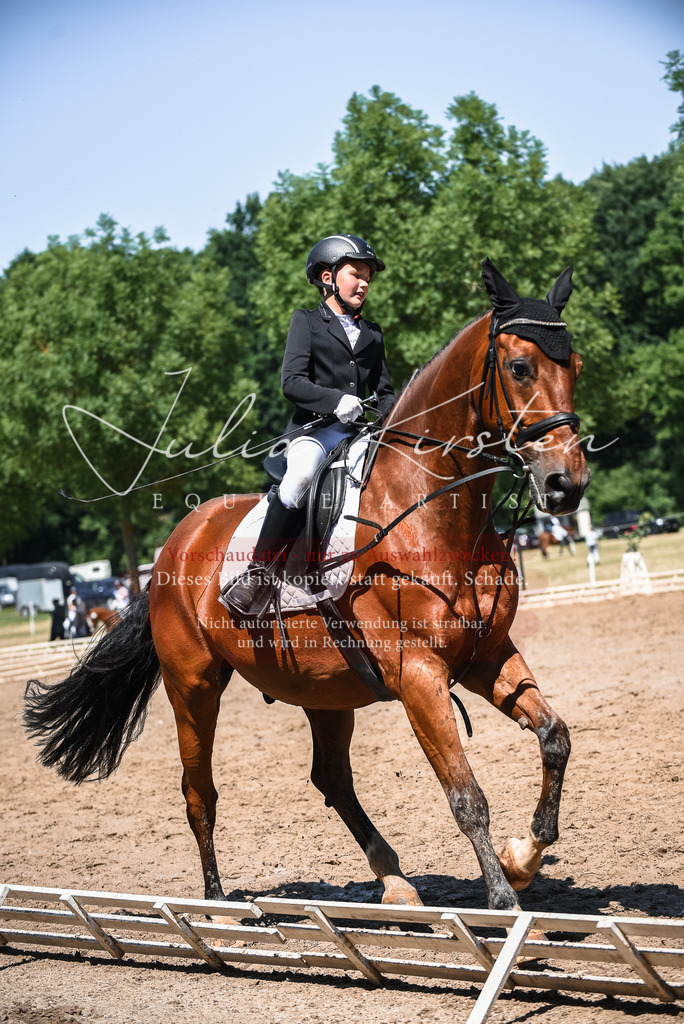 DSC_3027 | Pferde- und Turnierfotografie in Westsachsen. Pferdeportraits, Auftragszeichnungen und intuitive Kunst.