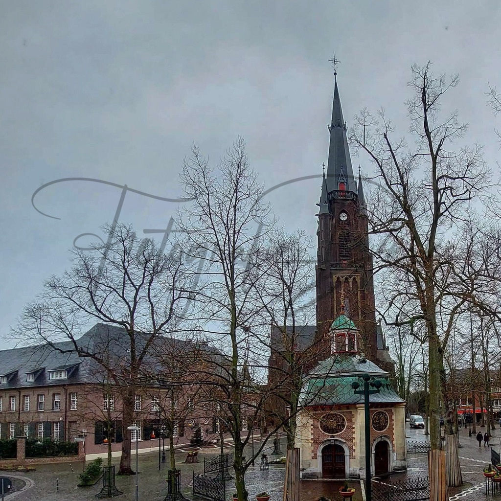 Bilder Homepage-15 | fotografie-derks - Realisiert mit Pictrs.com