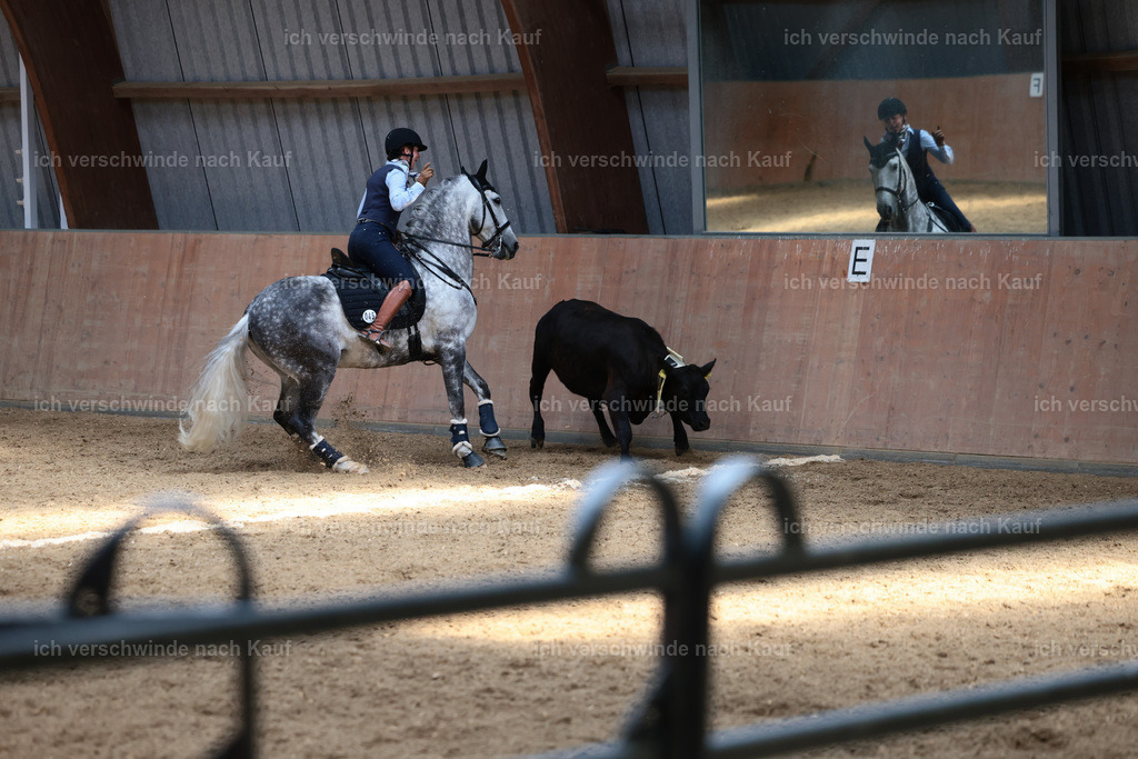 Masterclass_stoibphotography_C2_L7524.JPG | working equitationturnier fotograf videograf stoibphotography marixx film working equitation deutschland reitsport turnierfotografie eventfotografie equestrian events