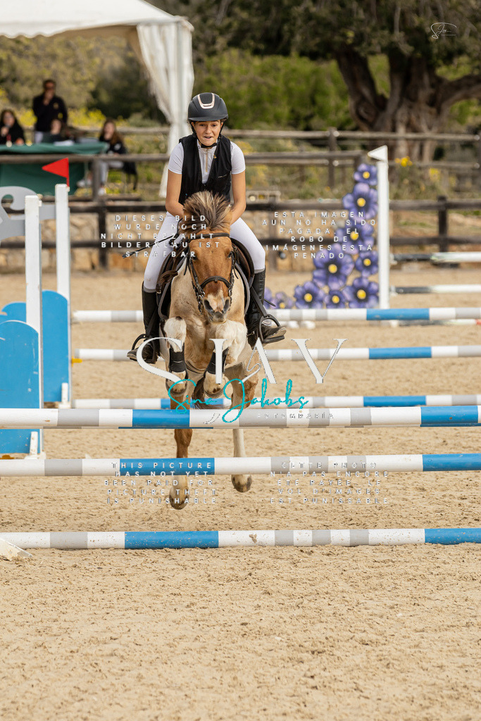 IMG_4509 | s-jay-photography - Realisiert mit Pictrs.com