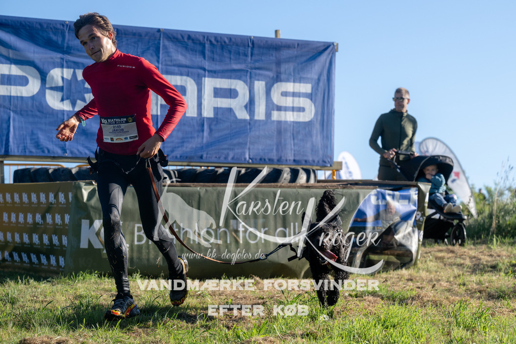 0825_ZZ93676 | kk-dogfotos