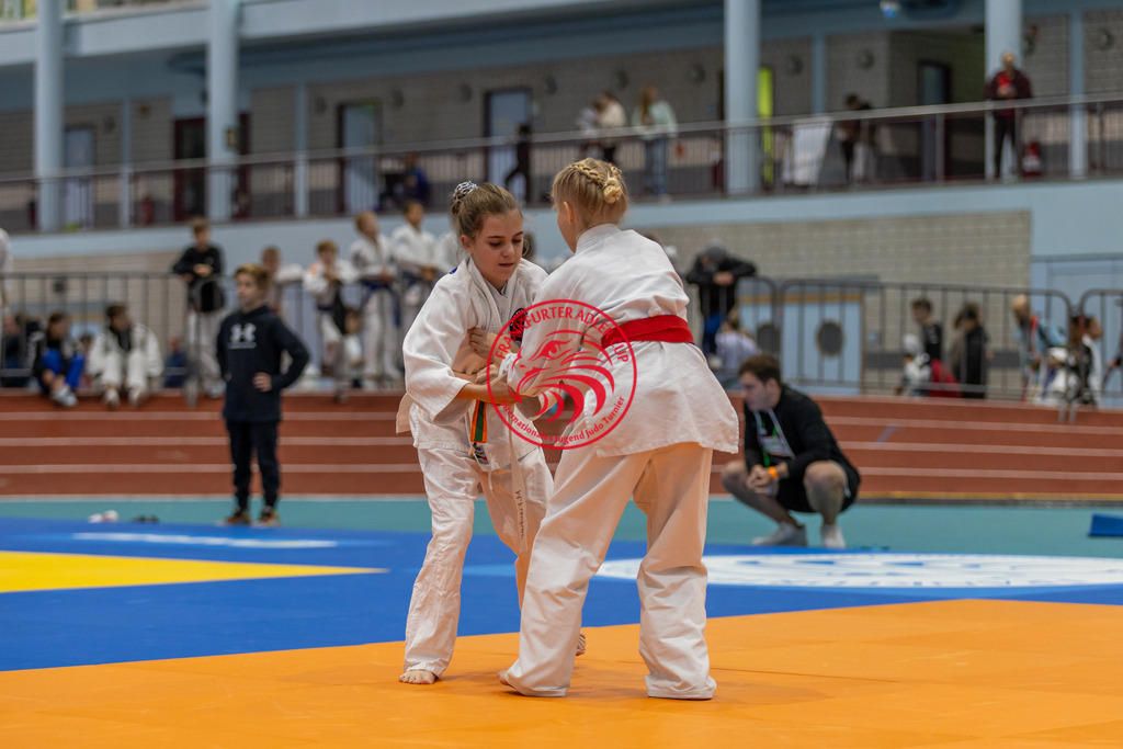 Internationaler Adler Cup 2024 | Foto vom Internationalen Adler Cup Judo Turnier im Sport- und Freizeitzentrum Kalbach im Oktober 2024 - Realisiert mit Pictrs.com