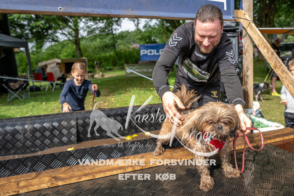 0907_ZZ93602 | kk-dogfotos