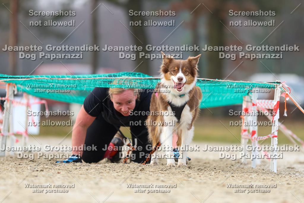 Dog Paparazzi - Strongdog North Mrz26-4107 | Dog Paparazzi Jeanette Grottendiek Fotografie & Videografie - Realisiert mit Pictrs.com