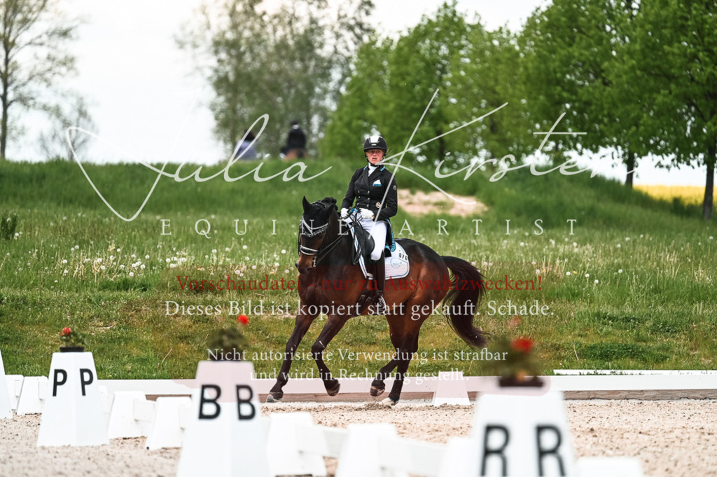 20230514_JK-Röhrsdorf-21-264 | Pferde- und Turnierfotografie in Westsachsen. Pferdeportraits, Auftragszeichnungen und intuitive Kunst.