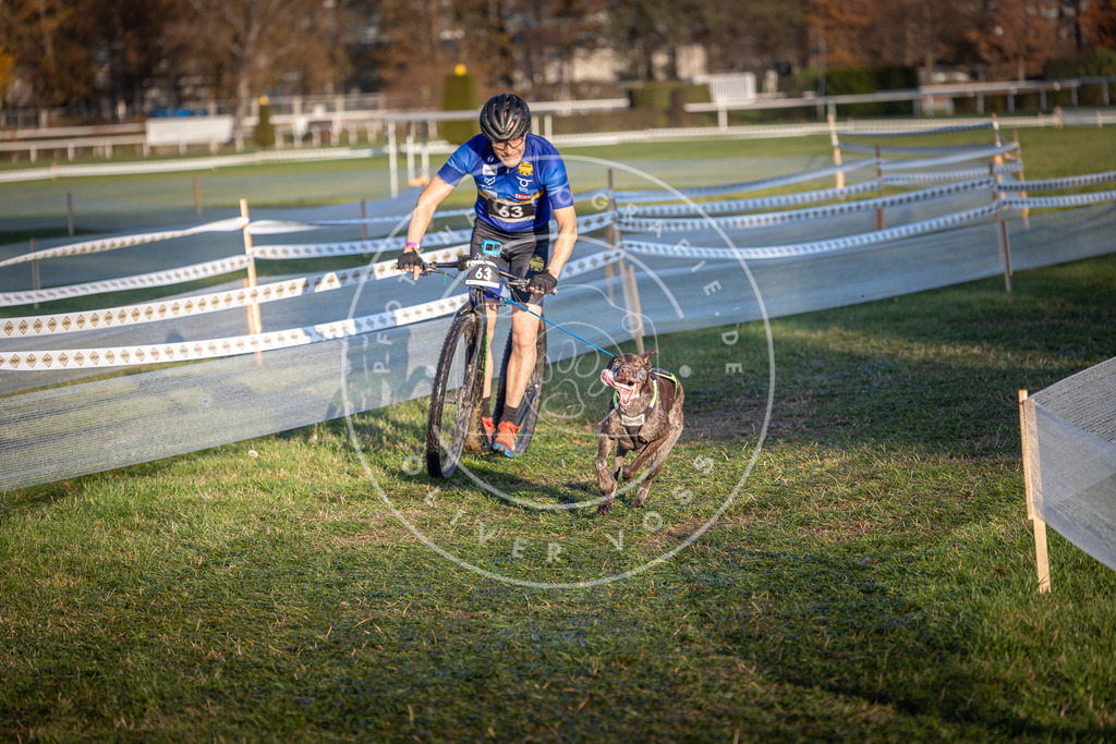 CaniXpix_0L8A3115 | Hundefotografie, Tierfotograf, Pfotenfotografie, Fotoshooting Hund, Hunde Portrait, Hundesport, Hundeportraits, Heideshooting, Hunde, Sportfotograf, Hundefotograf, Turnierhundsport, THS,  - Realisiert mit Pictrs.com