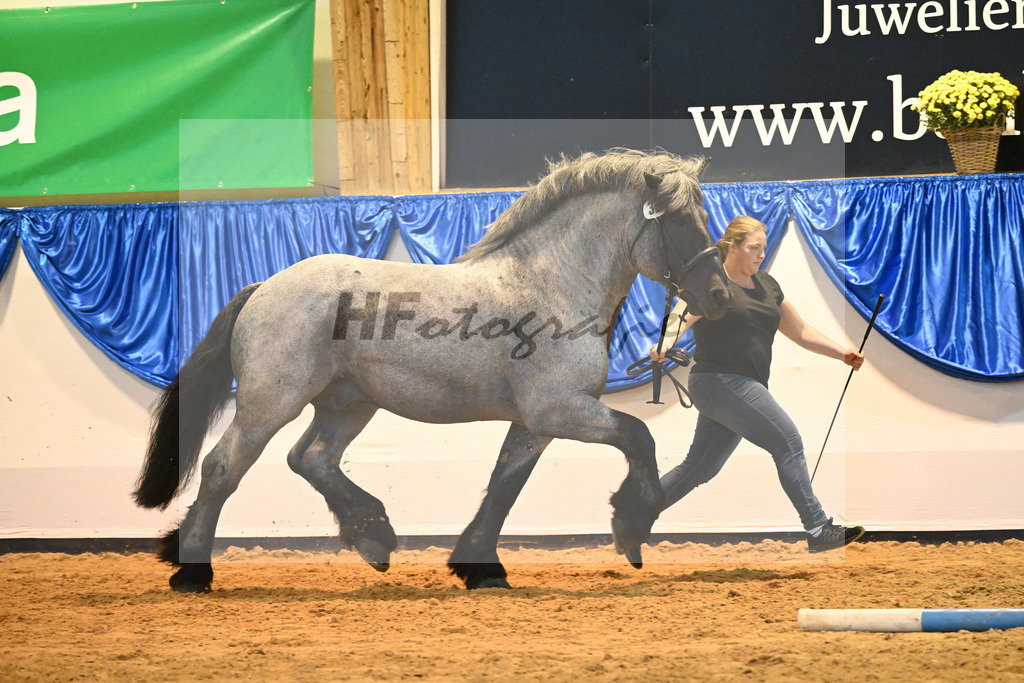 Kat-Nr. 36 Navajo_Burgath_53221202 | hf-fotografie - Realizzato con Pictrs.com