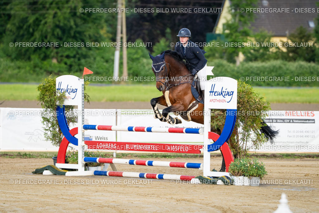 DSC01777 | Pferdegrafie