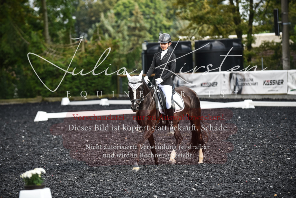 DSC_3387 | Pferde- und Turnierfotografie in Westsachsen. Pferdeportraits, Auftragszeichnungen und intuitive Kunst.