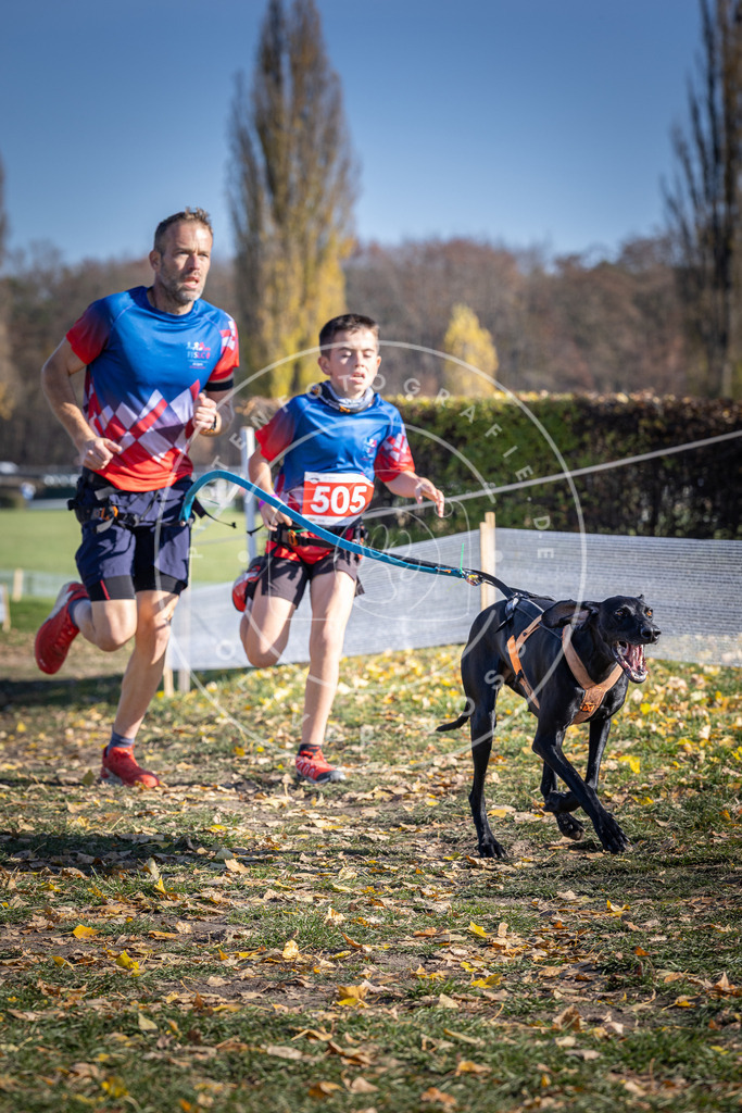 CaniXpix_DV3A7885 | Hundefotografie, Tierfotograf, Pfotenfotografie, Fotoshooting Hund, Hunde Portrait, Hundesport, Hundeportraits, Heideshooting, Hunde, Sportfotograf, Hundefotograf, Turnierhundsport, THS,  - Realisiert mit Pictrs.com