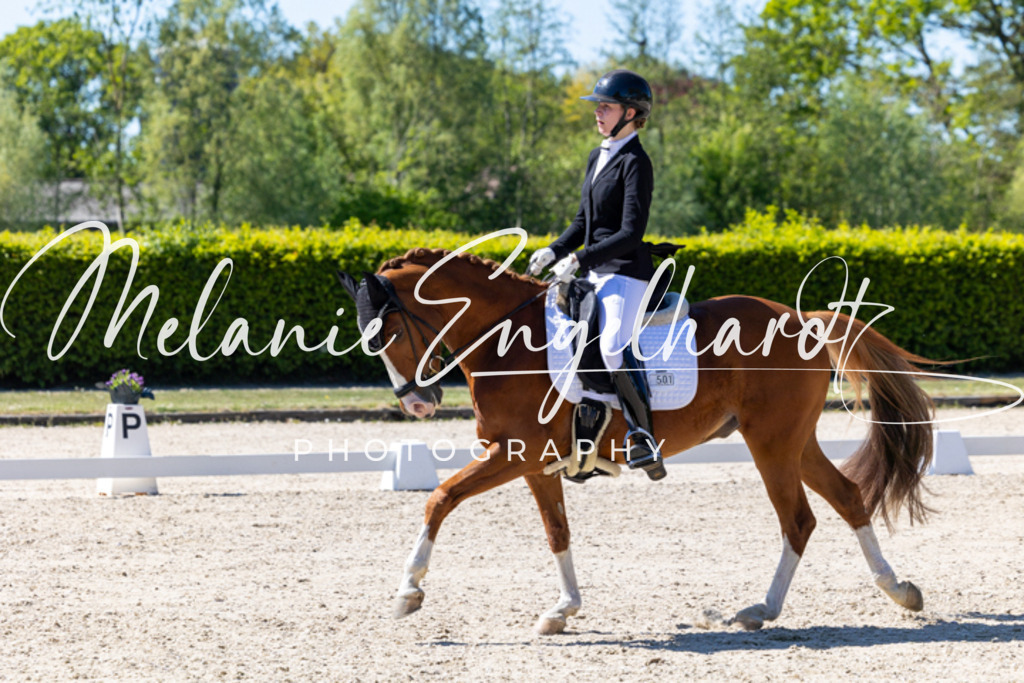 7I8A1392 | melanie-engelhardt-photography - Realisiert mit Pictrs.com