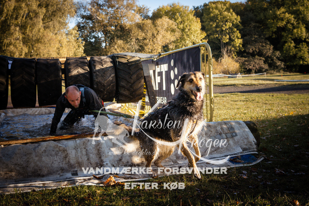 0913_ZZ90291 | kk-dogfotos