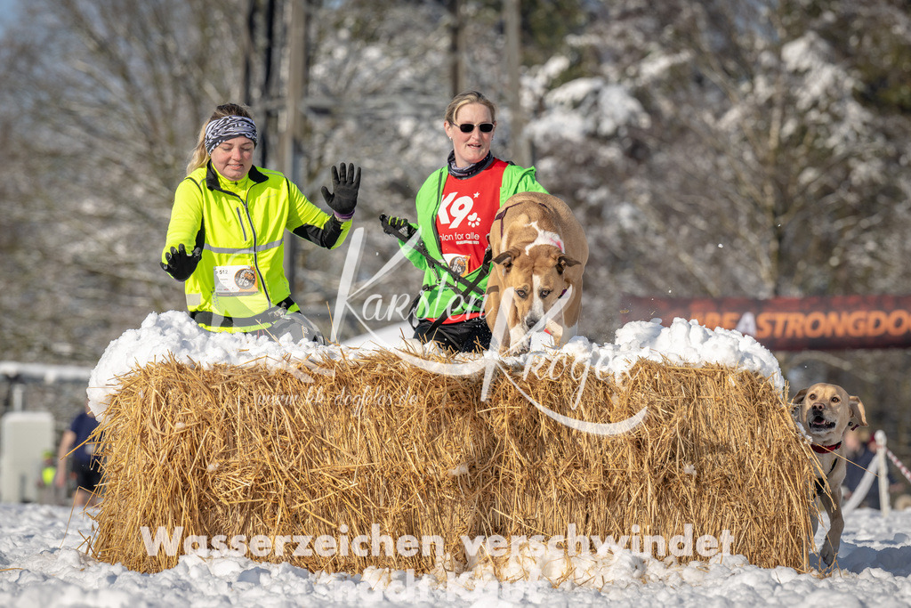 0954_ZZ94090 | kk-dogfotos