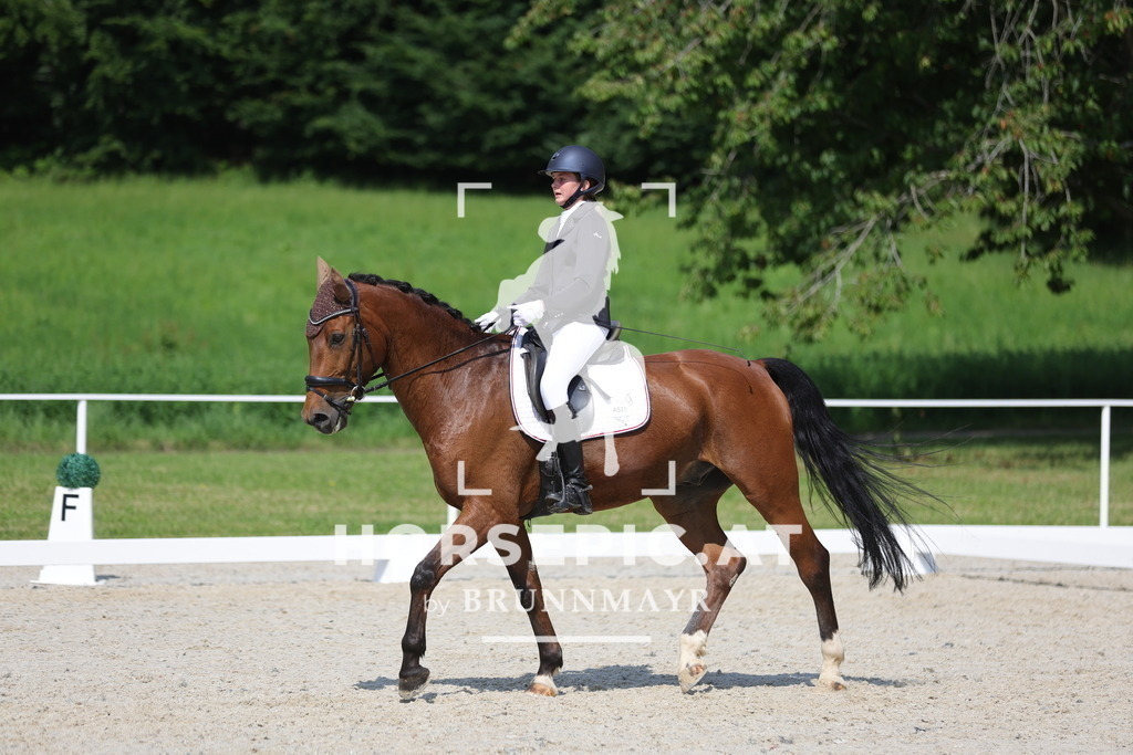0P6A9254 | Willkommen bei Brunnmayr - Design & Fotografie – Ihrem Spezialisten für Reitturniere und Pferdeveranstaltungen in Oberösterreich, Salzburg und Bayern! Seit über 17 Jahren sind wir leidenschaftlich dabei.