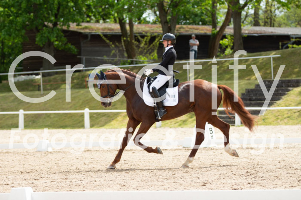 IMG_2522 | Creatify Fotografie