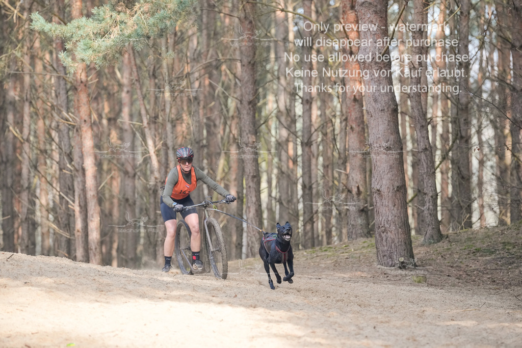 Scooter2-8 | stephaniefillaphotographie - Realisiert mit Pictrs.com