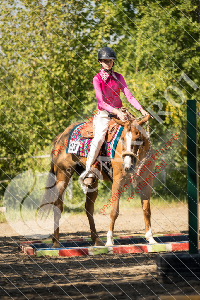 IMG_7746 | Sport-, Event- und Tierfotos in Profiqualität. Einfach auswählen, bestellen und herunterladen. Dein Moment – perfekt festgehalten.