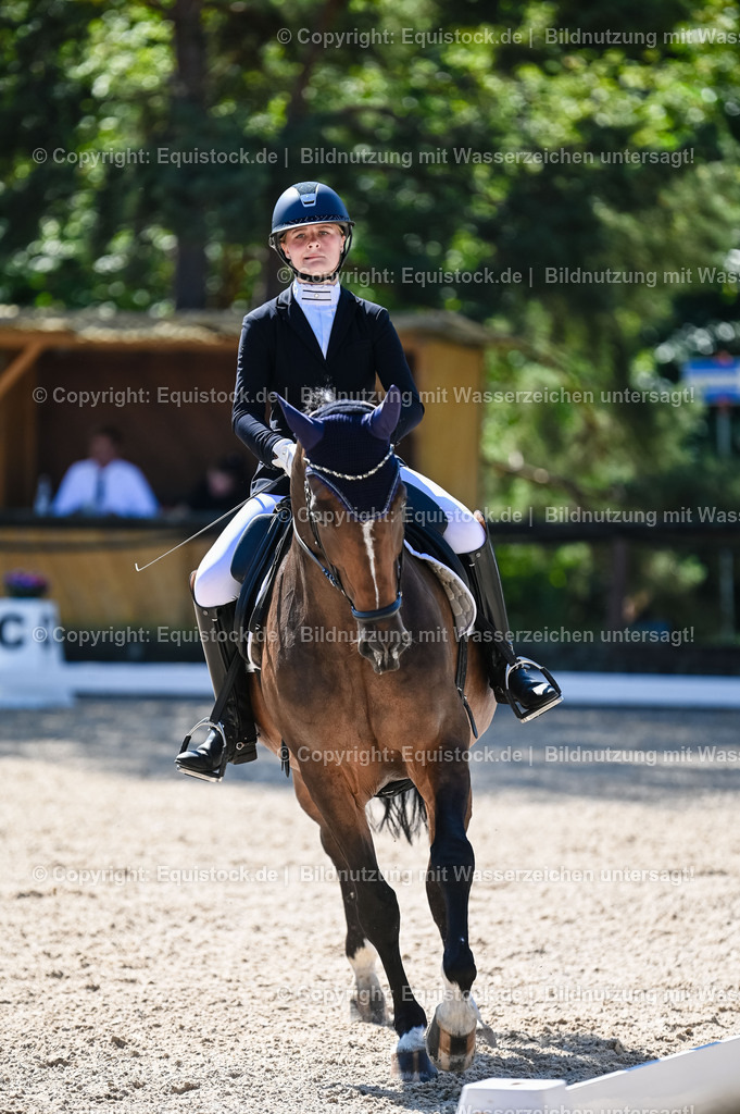 20230908_06_Dressur-L-Trense_0450 | equistock
