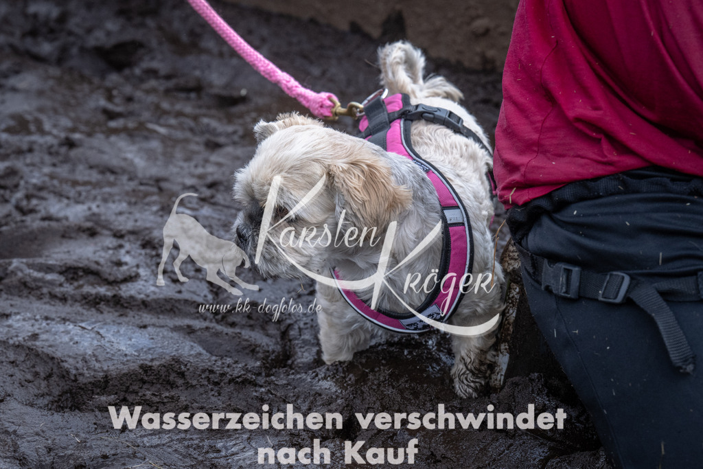 1418_ZZ91900 | kk-dogfotos