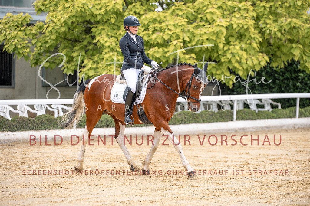 Schugtsche-Aluta25-41.Amat-Dressurprf.A_-83 | Schugtsche Fotografie - Realisiert mit Pictrs.com