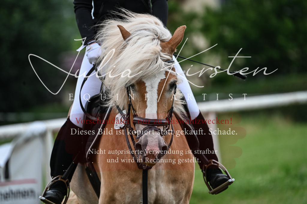 DSC_8421 | Pferde- und Turnierfotografie in Westsachsen. Pferdeportraits, Auftragszeichnungen und intuitive Kunst.