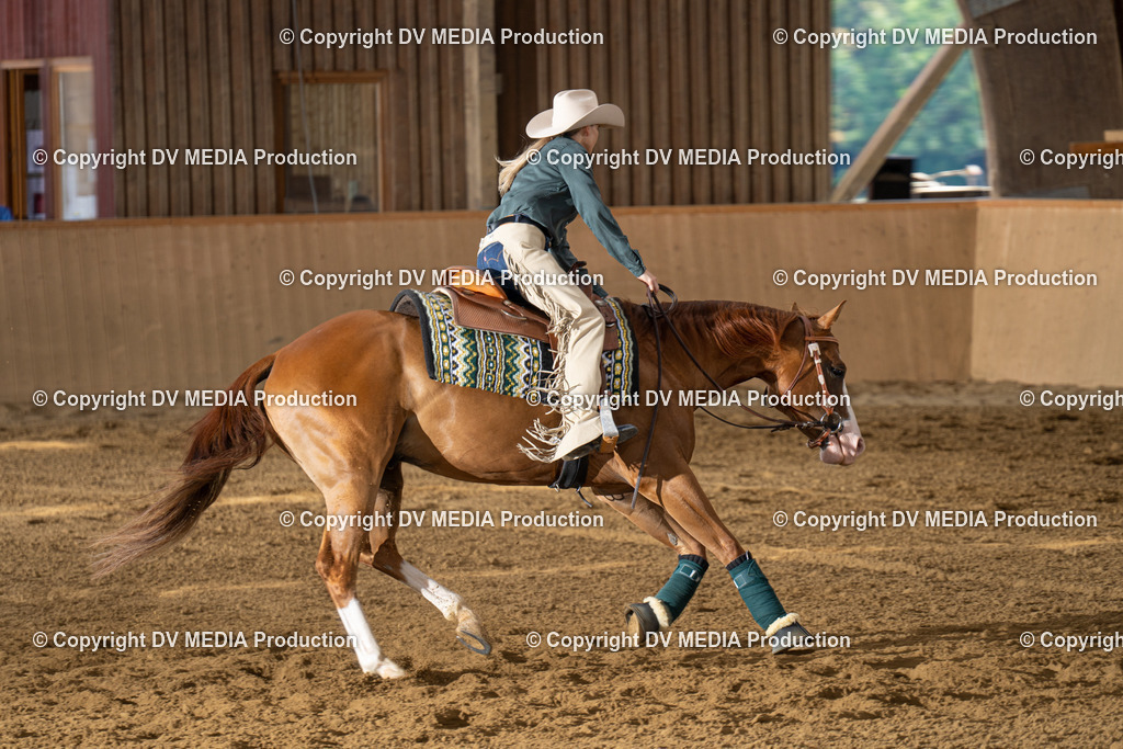 DSC00071 | dv-media-shop - Realisiert mit Pictrs.com