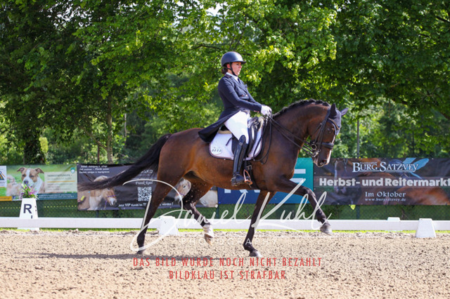 DKP41353 | Turnierfotos kaufen im Webshop von Daniel Kuhl Photography – entdecke professionelle Reitsportfotos aus Turnieren & Events. Hochwertige Turnierbilder online bestellen & sichern. Jetzt Fotos von Reitsportturnieren kaufen!
