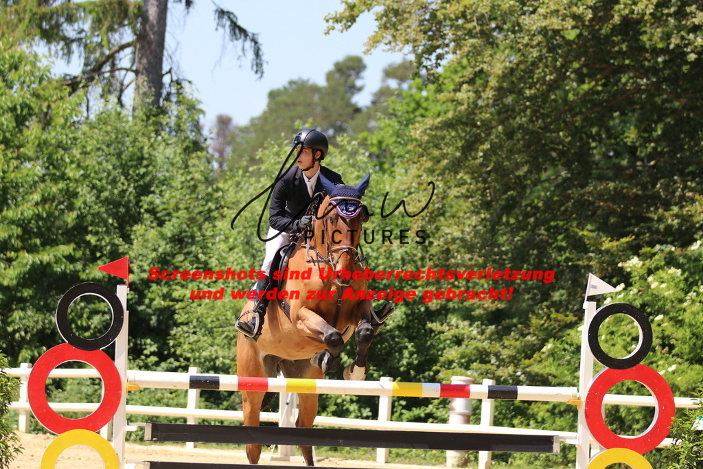 IMG_2593 | lmwpictures - Realisiert mit Pictrs.com