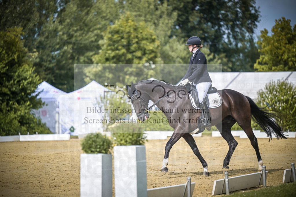 DOS_6402 | Entdecke hochwertige Reitturnierfotos von Foto Oger. Professionell, emotional und authentisch – jetzt Lieblingsmomente im Shop bestellen.Deutschlandweite Turnierfotografie. - Realisiert mit Pictrs.com