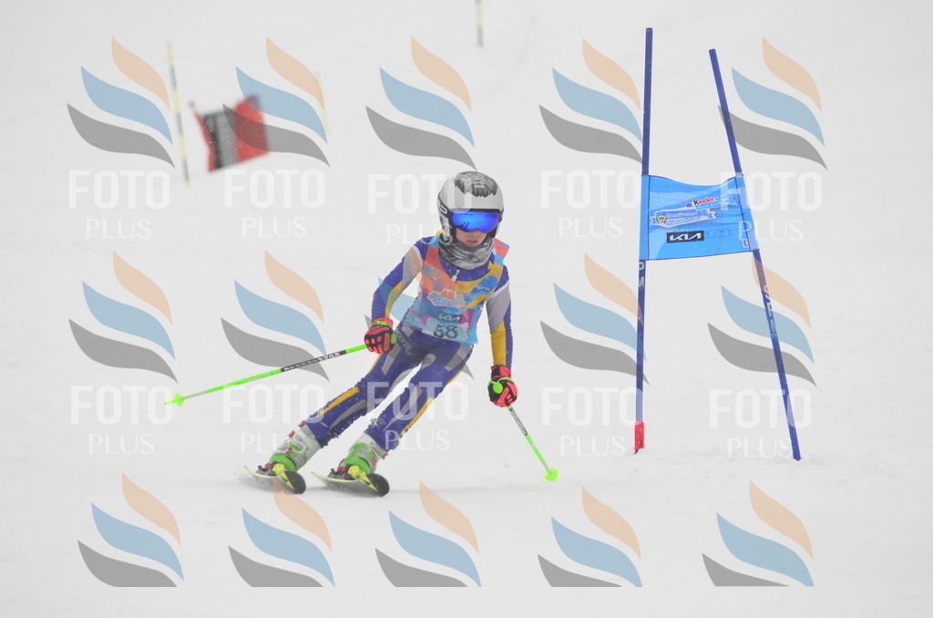 C1017 | holidayphoto