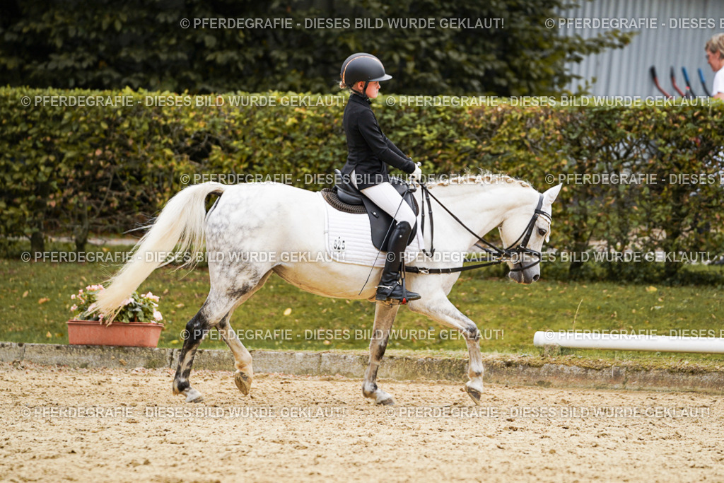 DSC09722 | Pferdegrafie