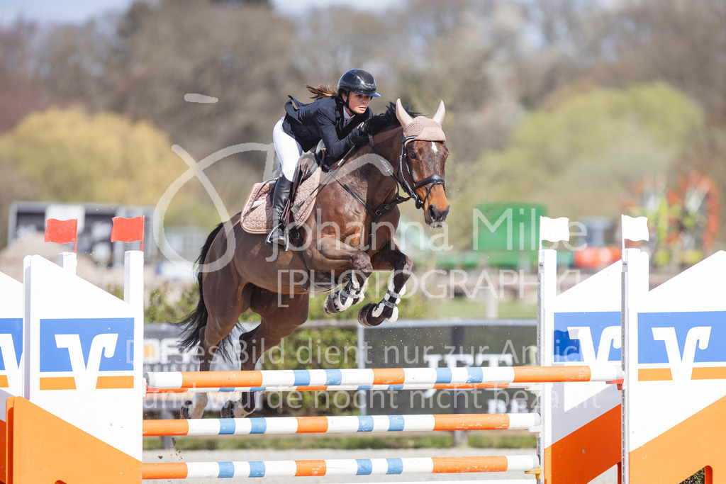 260404_Fruehlingsfest_Stil-L1-549 | Deine schönsten Turniermomente als professionelle Fotos! Entdecke hochwertige Pferdesport-Fotografie im Online-Shop. Jetzt Fotos finden & bestellen!