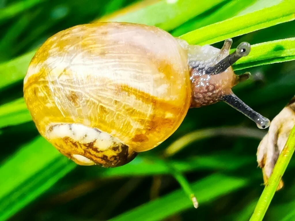 PSX_20220805_234913 | mtkfoto_ - Realisiert mit Pictrs.com