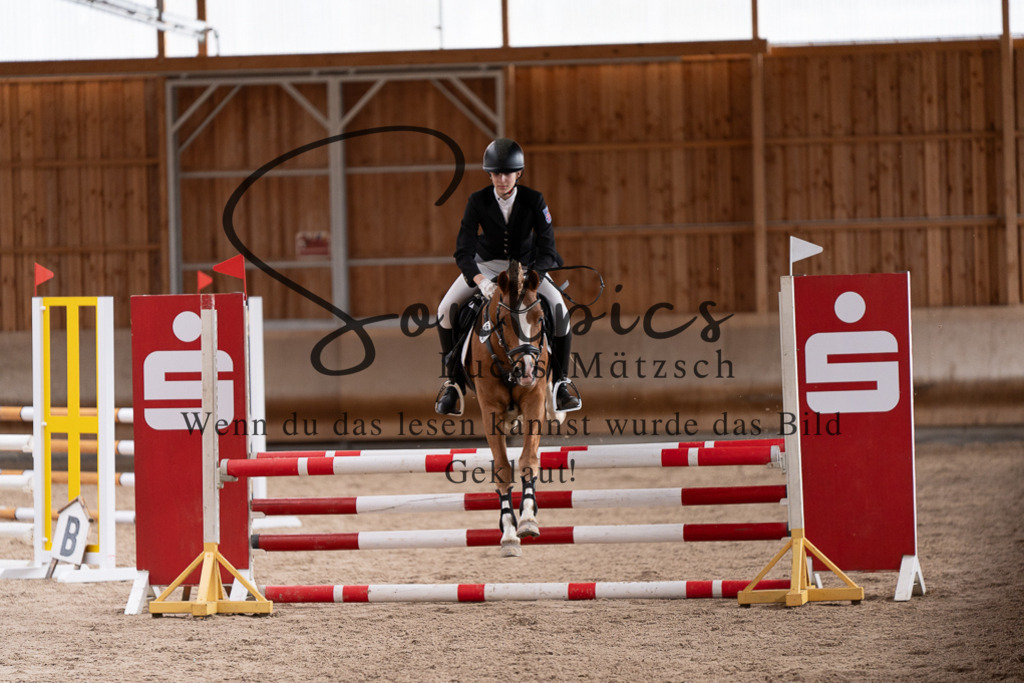 A7507871 | Pferdefotograf