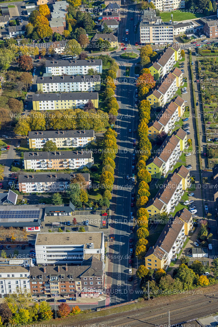 Moers221004183 | Luftbild, Reihenhaus Wohnsiedlung Homberger Straße, Baumallee in Herbstfarben, Moers-Hochstraß, Moers, Ruhrgebiet, Nordrhein-Westfalen, Deutschland