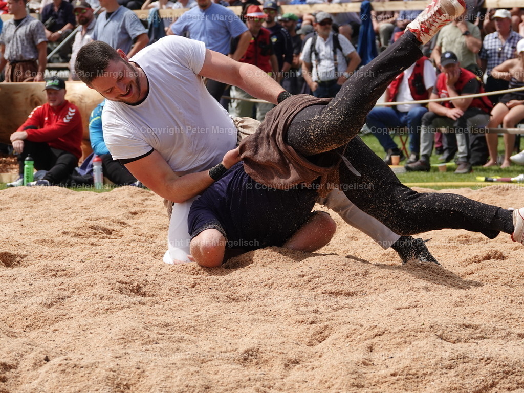 DSC07431 | Schwingen - Realisiert mit Pictrs.com