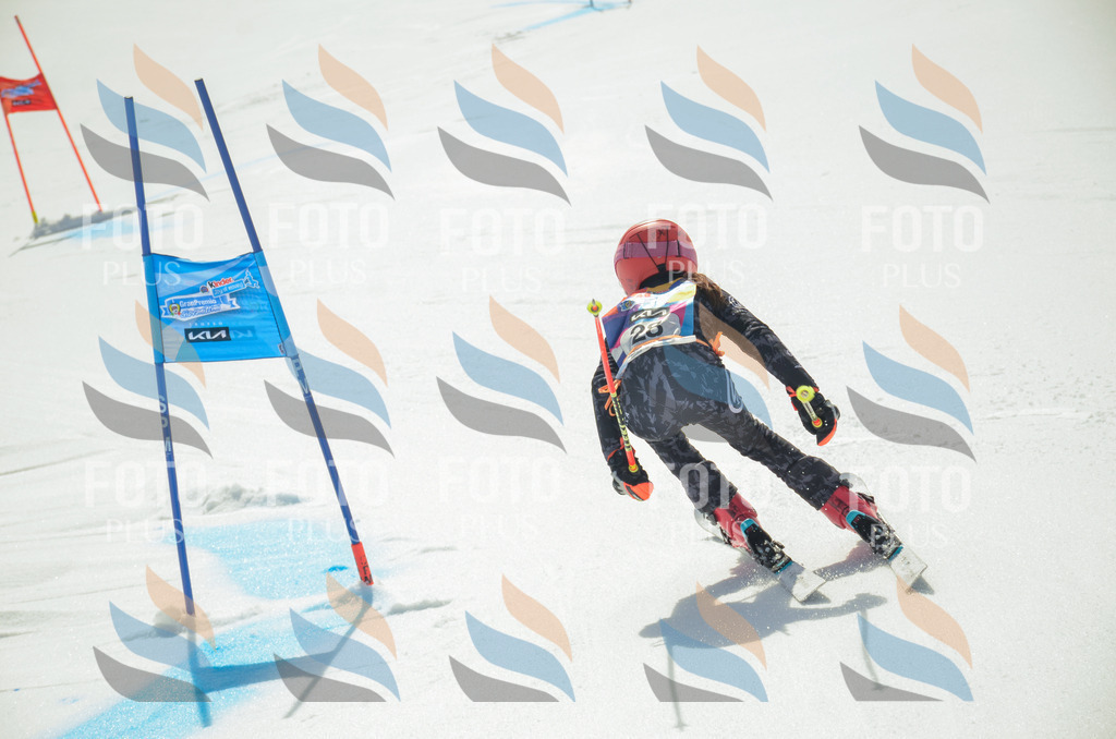 _ELE4856 | holidayphoto