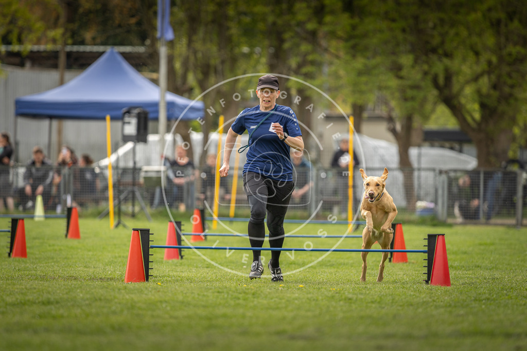 Pfotenfotografie_DV3A6311 | Hundefotografie, Tierfotograf, Pfotenfotografie, Fotoshooting Hund, Hunde Portrait, Hundesport, Hundeportraits, Heideshooting, Hunde, Sportfotograf, Hundefotograf, Turnierhundsport, THS,  - Realisiert mit Pictrs.com