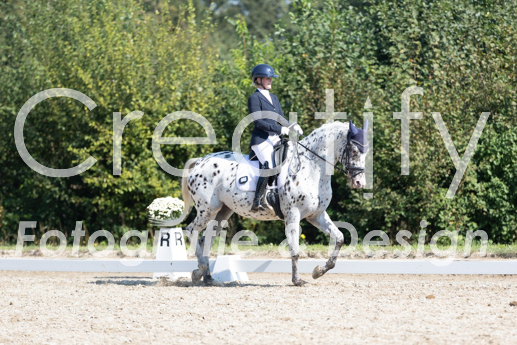 IMG_4618 | Creatify Fotografie